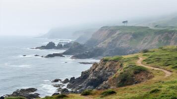 The once clear view of the ocean is now obscured by the dense fog, adding an element of mystery to the coastal scene. photo