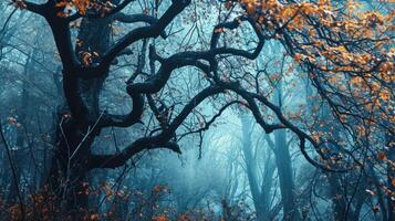The gentle sway of tree branches and the whispering of leaves harmonizing to create a serene atmosphere for meditation. photo