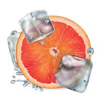 Half a grapefruit with ice cubes and water droplets vector