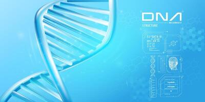 Fragment of double helix DNA with infographic elements. vector