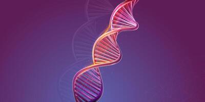 DNA double helix structure on a purple background. vector
