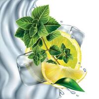 Composition of lemon, mint and ice cubes. vector