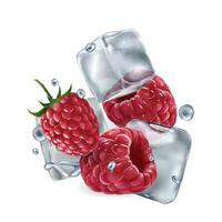 Fresh raspberries with ice cubes and water droplets vector