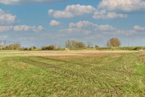 A field with a grassy area and a few trees photo