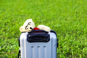 Soft toy bear in opened travel bag with clothes on green summer meadow photo