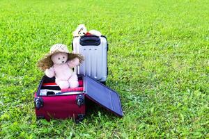 Soft toy bear in opened travel bag with clothes on green summer meadow. photo