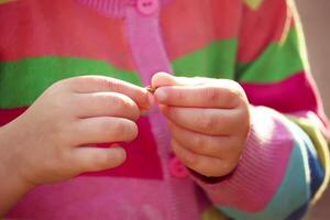 Child's hands with a small beetle photo