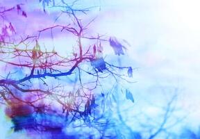 Trees at spring. Combination of vintage photo, watercolor and old paper texture. photo