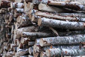 Chopped firewood in the countryside. photo