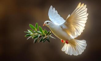 A white dove is flying over a branch with leaves. Concept of freedom and peace, as the dove is soaring through the sky with ease. The leaves on the branch provide a natural photo