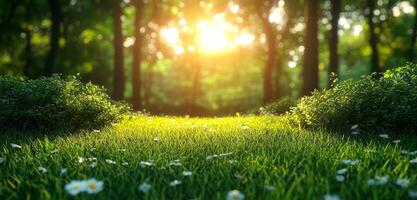 A bright sun is shining through the trees, casting a warm glow on the grass. The scene is peaceful and serene, with a few wildflowers scattered throughout the field photo