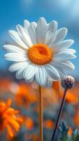 A close up of a white flower with orange petals. The flower is surrounded by other flowers, creating a colorful and vibrant scene. Concept of beauty and tranquility photo