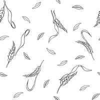 Wheat ear, barley monochrome seamless pattern isolated. Repeated texture of spikelet of rye, grains black white contour painted by ink for design textile, wrapping paper, packaging, bakery. vector