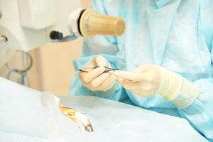Precise surgical procedure in operating room with medical instruments and equipment photo