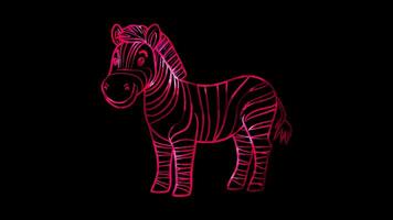 Neon frame effect, zebra with its distinct stripes on black background video