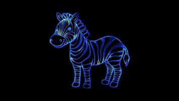 Neon frame effect, zebra with its distinct stripes on black background video