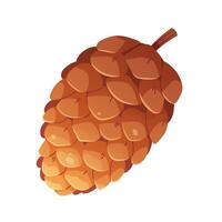 Drawn pine cone on white background. Forest cone, New Year decoration. isolated element vector