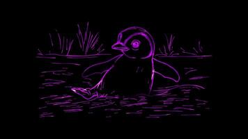 Neon frame effect, Playful Penguin Sliding on Ice on black background video
