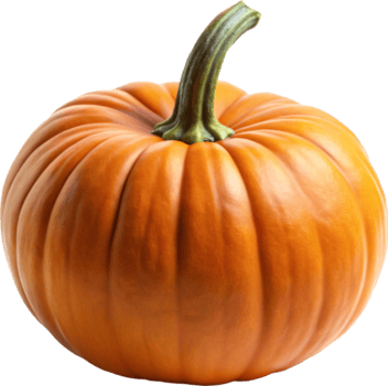 jack o lanternas, dia das Bruxas abóbora, colheita png