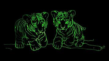 Neon frame effect, tiger cubs playing together in a jungle setting on black background video