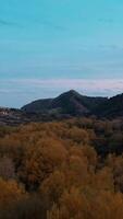 A Tour Above Autumn Breathtaking Forest video