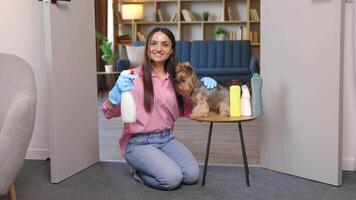 Young woman sitting near the table with cleaning products at home and her little dog is sitting on the table too video