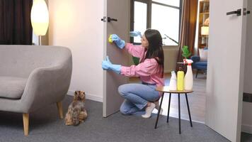 A young pretty woman in rubber gloves is wiping the door with a rag, and a table with cleaning products is standing next to it video