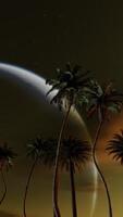 Vertical Moving through a grove of palm trees against the night sky and a huge moon. Seamless loop. 3d animation. video