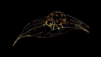 Neon frame effect, Ladybug on a Leaf on black background video