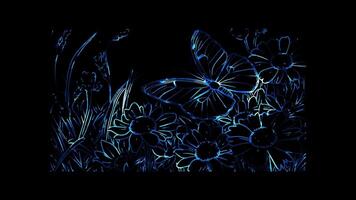 Neon frame effect, lovely butterfly resting on a large flower with a few more flowers in the garden on black background video