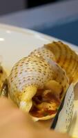 tomato sauce in shells Add chili pepper to hot shellfish cooking video