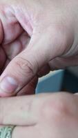 male hands open a shell, taking out a clam, showing how to open a shell correctly video
