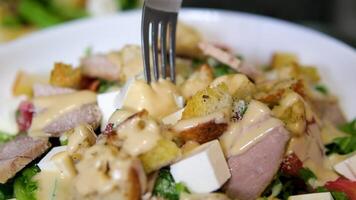 salad with mustard sauce. pick up salad with cheese pieces using a fork video