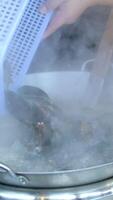 throw shells into hot water pour the clams into the boiling water from the blue plastic container into the pan video