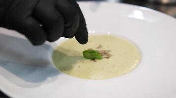 serving cream soup with sunflower seeds and a piece of arugula serving in a restaurant on white plates a chef in the kitchen preparing and decorating video