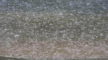 rain on a flowing puddle Rain drops falling on clean clear background. video
