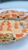 snow crab set of a girl cutting crab at a buffet table video