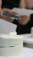 Using a palette knife, decorate a bento cake with a flower made of cream. Selective focus. video