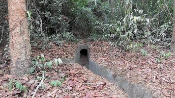 underground hall in the Cu Chi Tunnel, a historically famous site in the Vietnam War, the army excavated underground to live, now it is a legacy destination for Vietnam travel in Ho Chi Minh City video