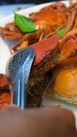 Hands holding a steam cooked crab without top shell. Slow motion. Close up. video