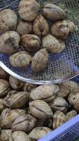 food shellfish. Mussels in a bowl with herbs, rotating on a turntable. Shellfish, seafood close-up video