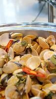 food mollusks shells Spotted babylon, or Babylonia areolata, is sea snail with distinctive spotted shell. Shell is smooth, glossy, with spiral ridges. Food concept. Seafood background. 4K. video