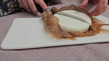 Delightful various types of white cheese and crispy fresh bread with pieces of wood on rustic table video