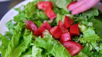 chef add chopped tomatoes in to bowl with salad leaves prepare fresh salad video