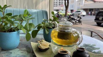 different types of fresh raw green tea leaf flower bud lemon orange slice transparent glass teacup saucer liquid tea on white background top view pan zoom rotate video