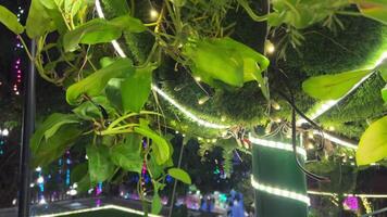 restaurant on a tree gazebo on legs in the thickets of green leaves in the evening with backlighting lights video