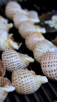 food shellfish. Mussels in a bowl with herbs, rotating on a turntable. Shellfish, seafood close-up video