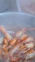 Red Shrimps Pre-Cooked and Blanched Rinsed in a Colander under Running Splashing Water in Slow Motion. Spicy Shrimp in White Plate on Set,The Famouse Menu of Thai Food in Thailand video
