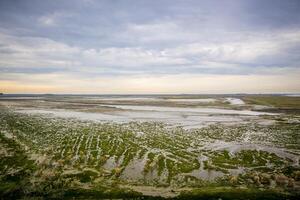 View into Drowned Land of Saeftinghe from Oude Doel, on the border between Belgium and the Netherlands photo