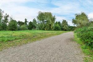 A dirt path in a field photo